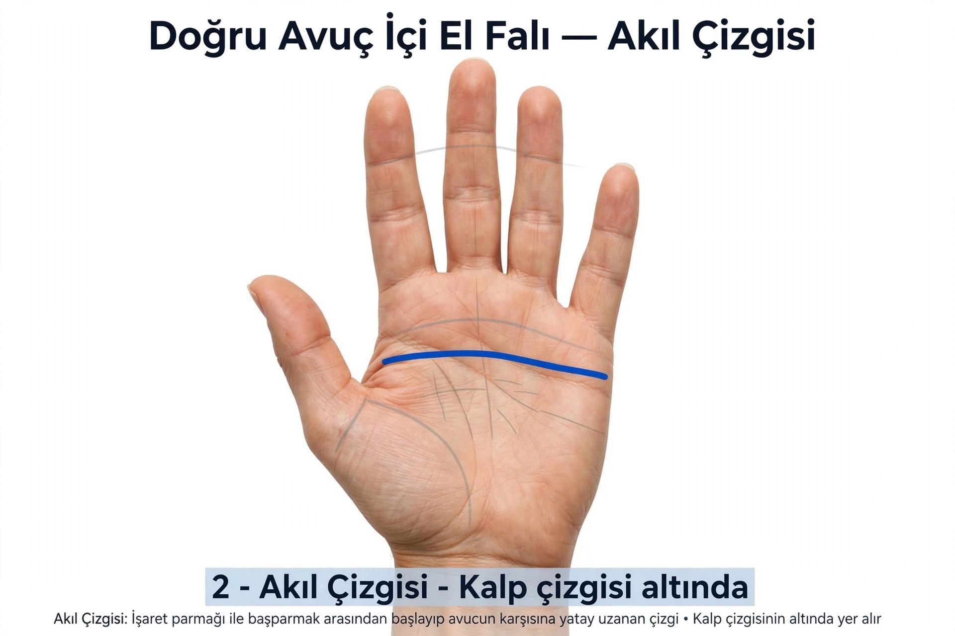 El çizgisi