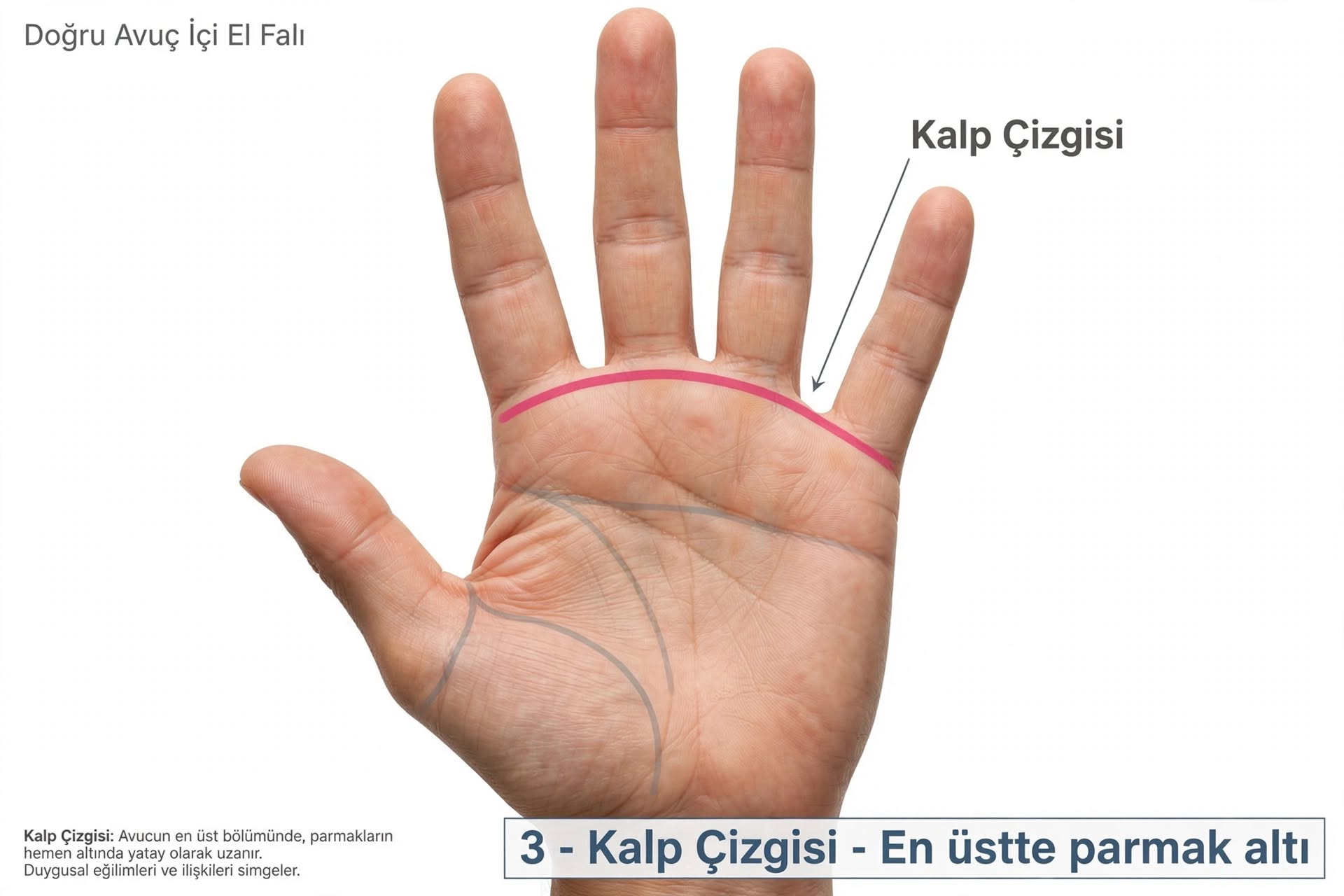 El çizgisi